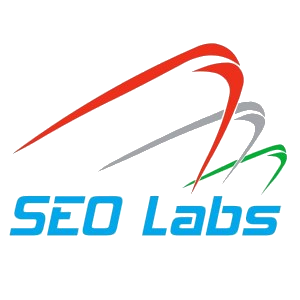 Digital Marketing Agency Hyderabad - SEO LABS