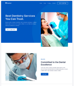 portfolio dentist - Best SEO Agency Katy Texas - SEO LABS Inc