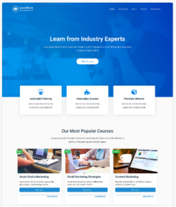 portfolio learning - Best SEO Agency Katy Texas - SEO LABS Inc